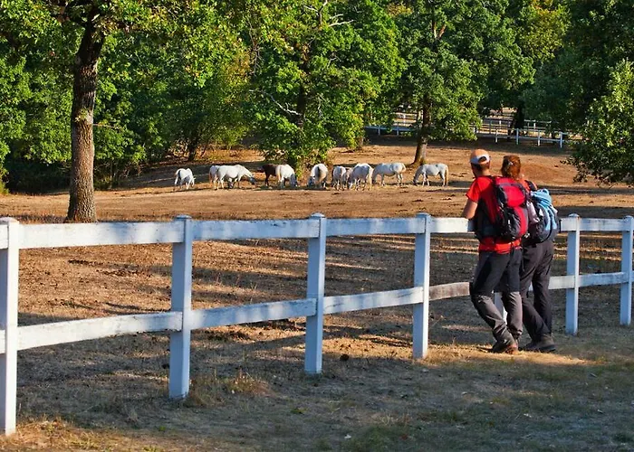 Apartmaji Robida Sežana